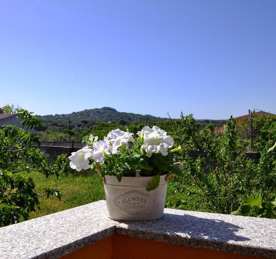 Casa Duminicheddha, Mare E Relax In Gallura Bassacutena Exterior foto